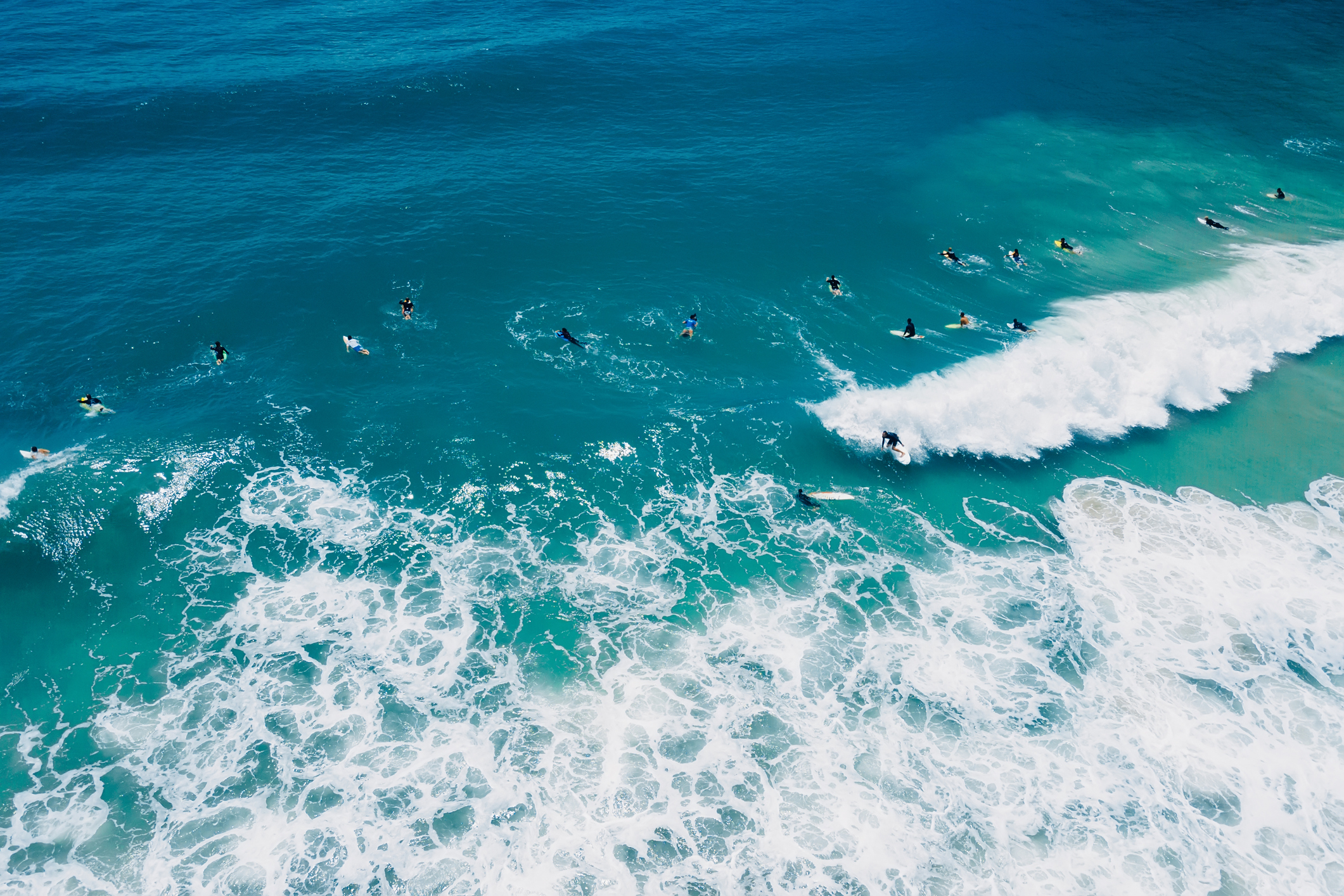 Surfers in blue ocean on surfboard and waves. Aerial view